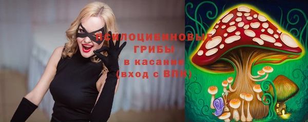 гашик Кукмор
