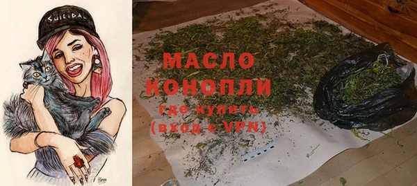 амф Кулебаки