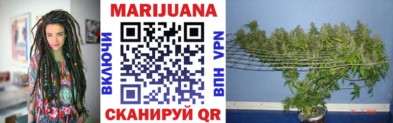 мориарти телеграм  Покровск  МАРИХУАНА VHQ 